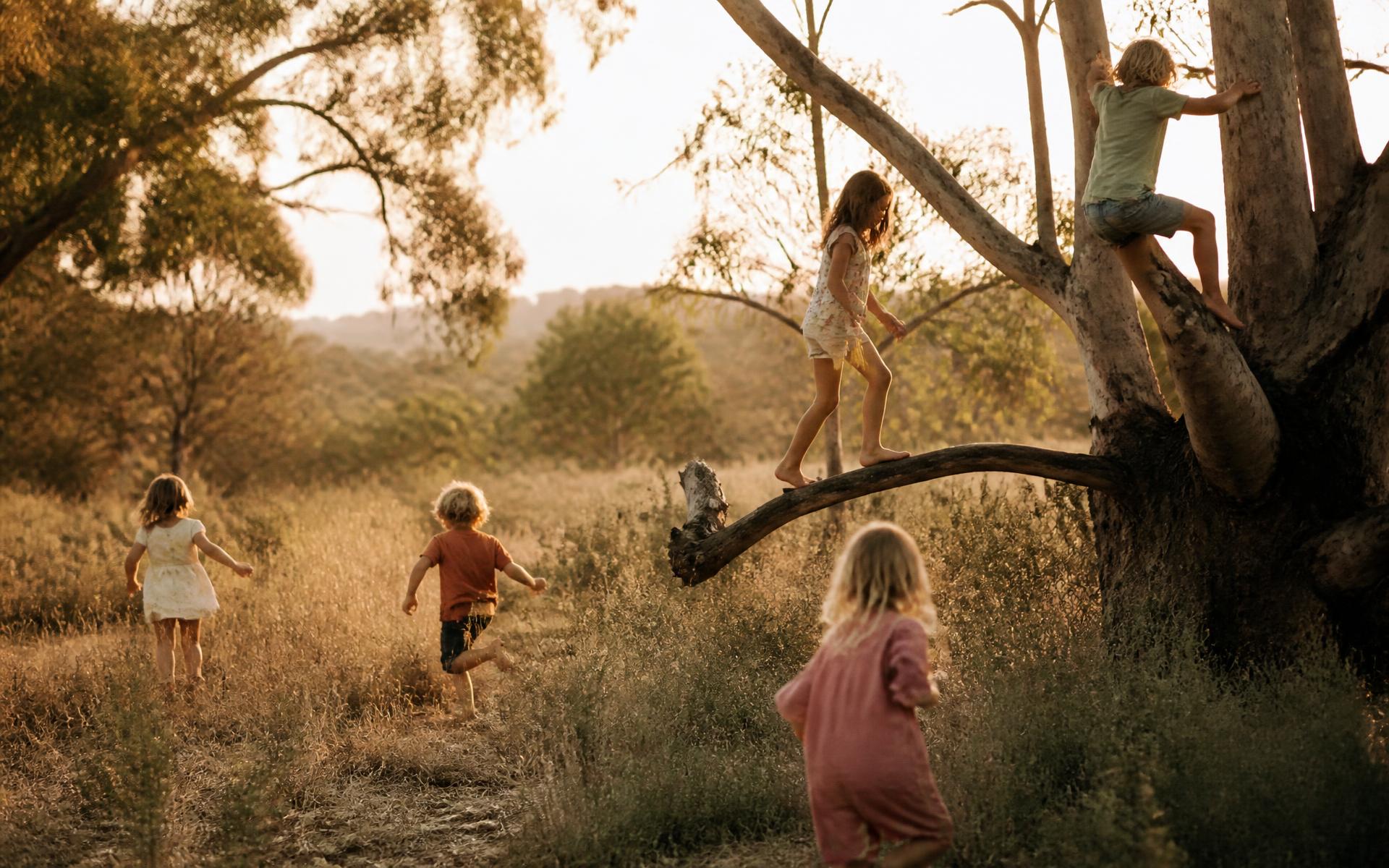 Children climbing a gum tree and running through long grass at golden hour